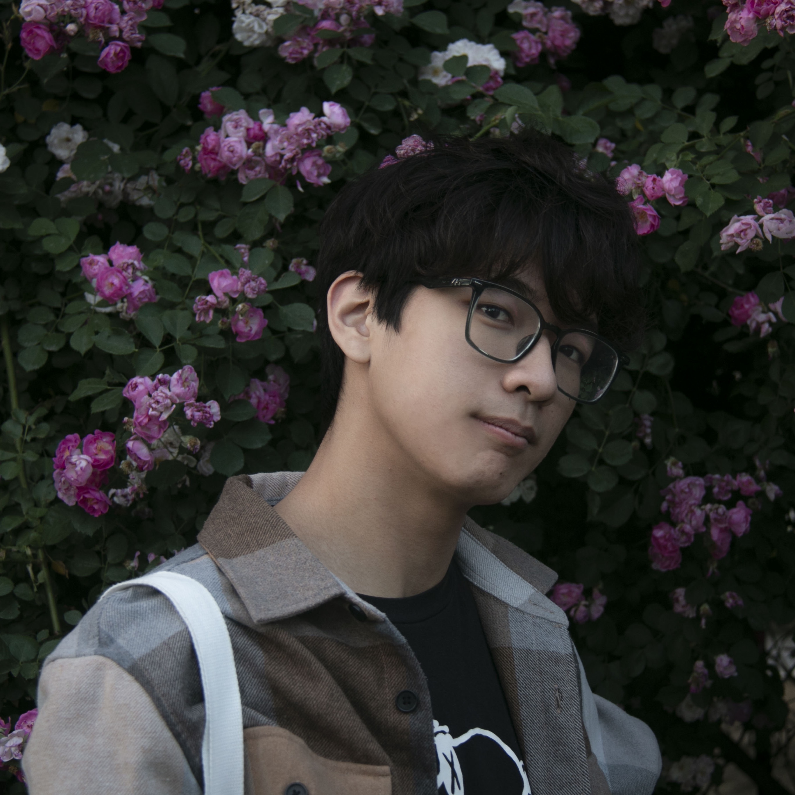 Honglin Wang